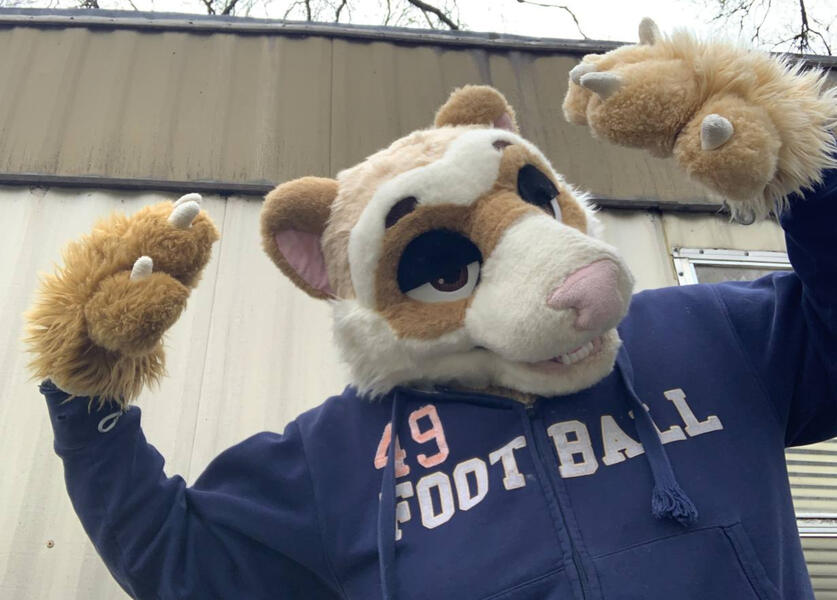 Random Fursuiting Random Fursuiting